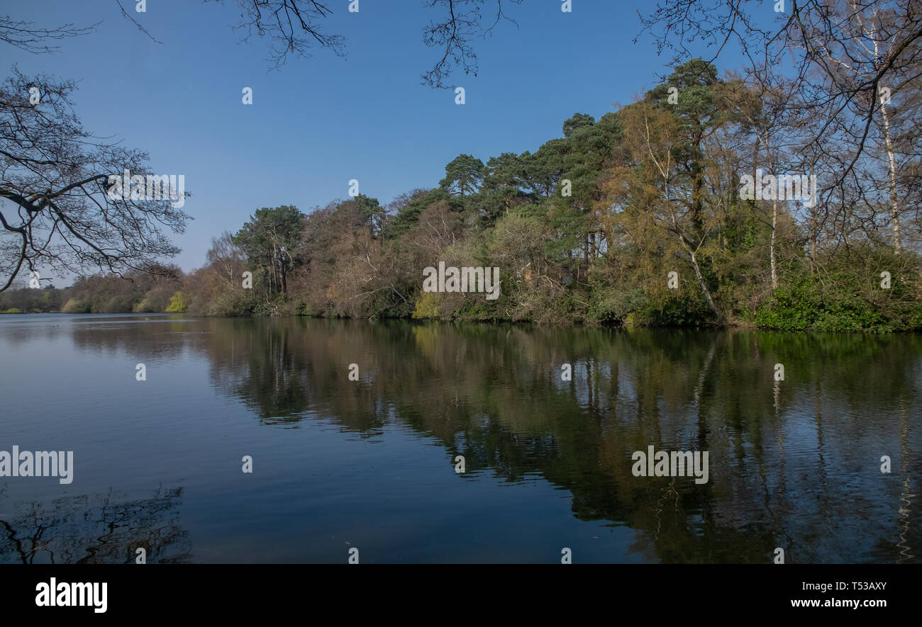 South Lake - Woodley In Berkshire Stock Photo