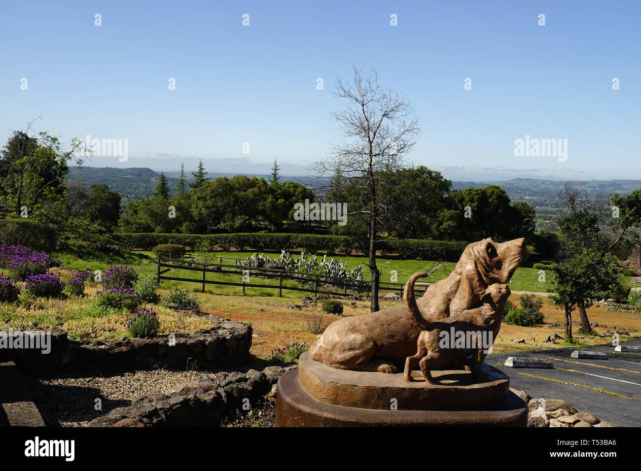 Napa, California 18th April, 2019 Bubbling Well Pet Memorial Park is 're-birthing' following the disasterous Atlas wildfire of October, 2017 after the Stock Photo