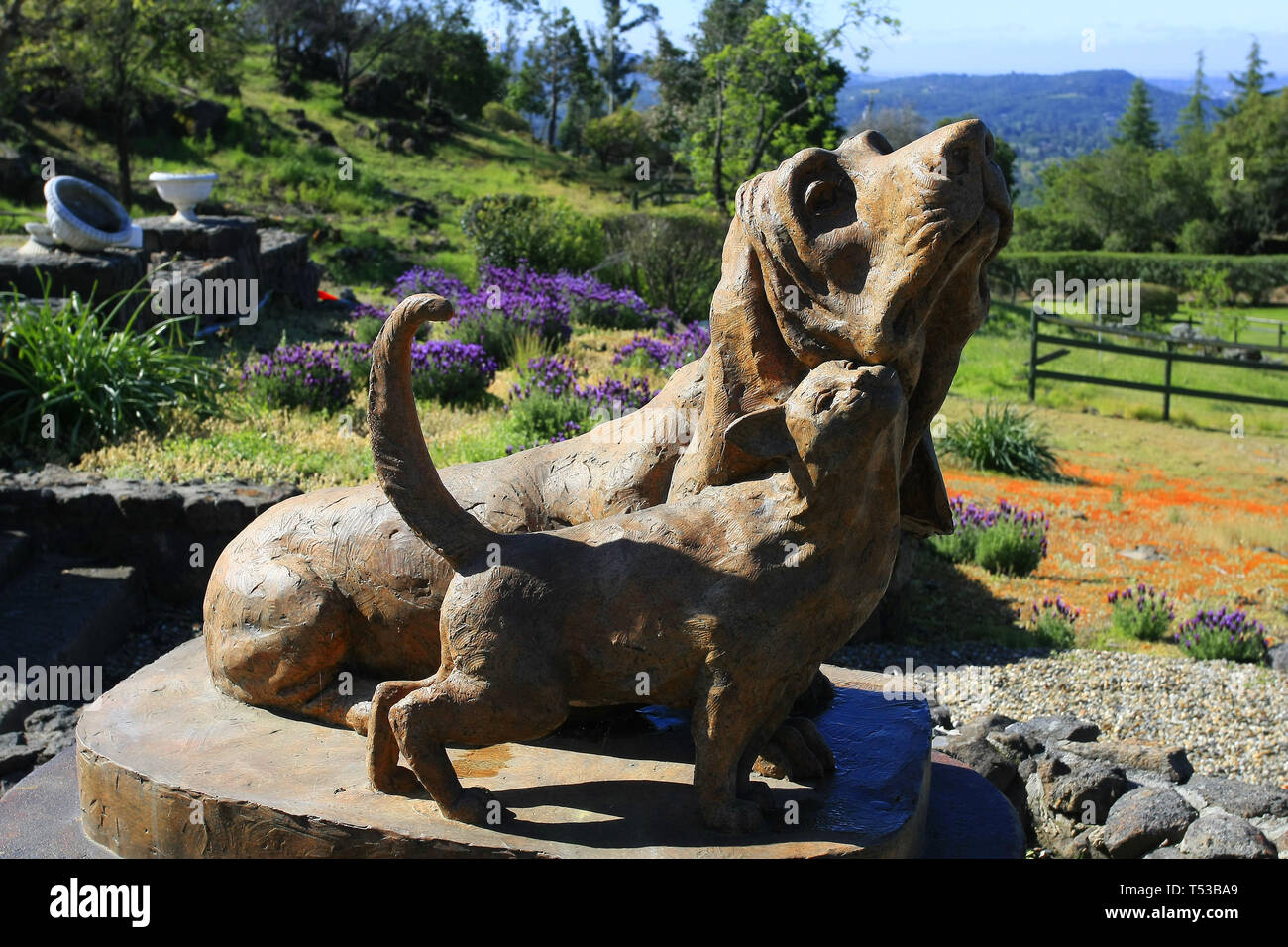 Napa, California 18th April, 2019 Bubbling Well Pet Memorial Park is 're-birthing' following the disasterous Atlas wildfire of October, 2017 after the Stock Photo