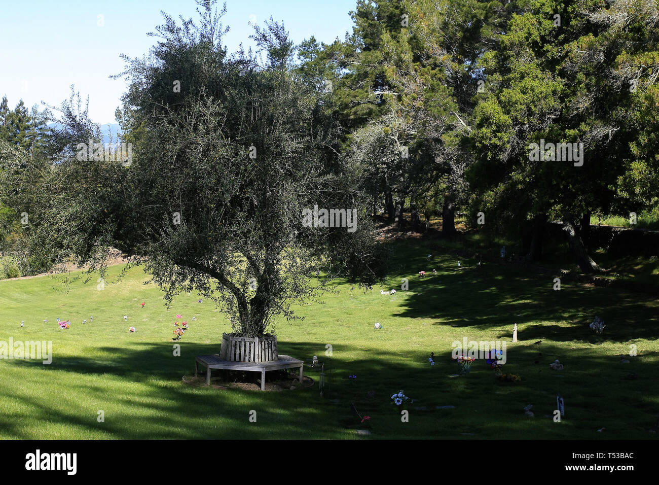 Napa, California 18th April, 2019 Bubbling Well Pet Memorial Park is 're-birthing' following the disasterous Atlas wildfire of October, 2017 after the Stock Photo