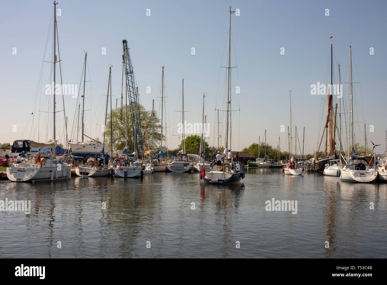 Yacht named Moonshine under power on Chelmer and Blackwater Navigation