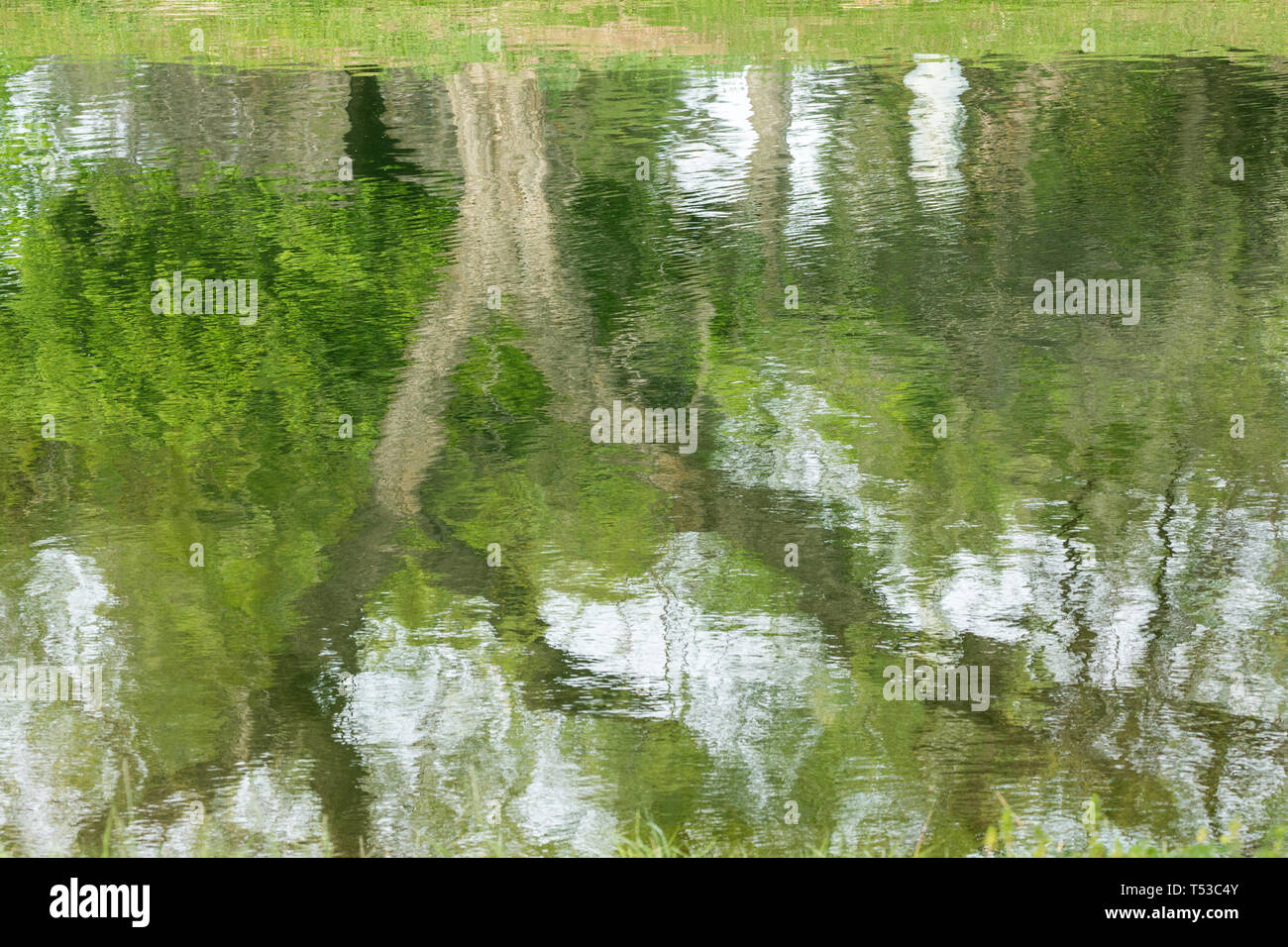 Watery background hi-res stock photography and images - Alamy