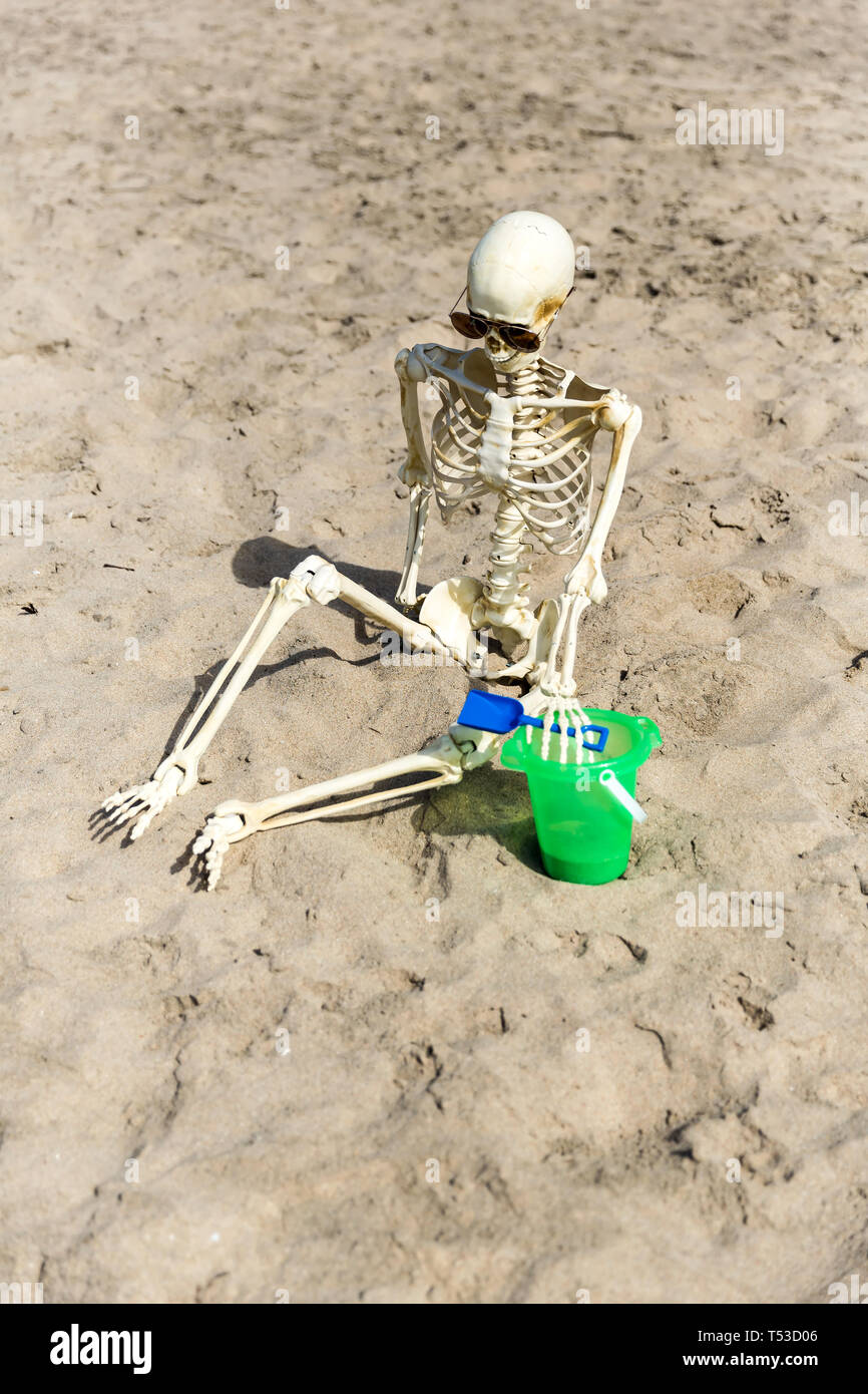https://c8.alamy.com/comp/T53D06/skeleton-sits-on-the-beach-playing-in-the-sand-with-a-bucket-and-shovel-T53D06.jpg