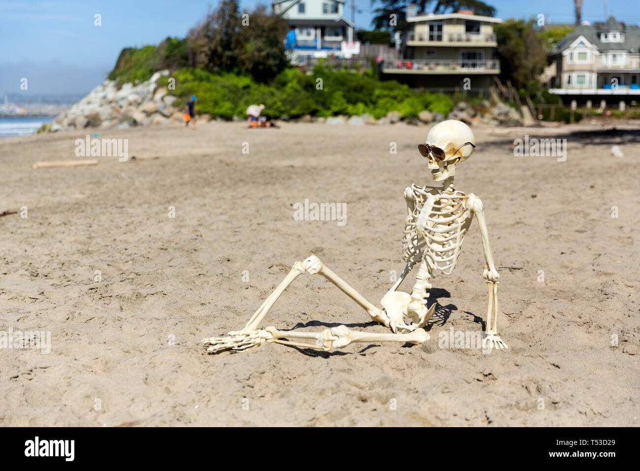 Silla Shinji Ikari Meme Pegatina - Etsy México, image size:1300x956