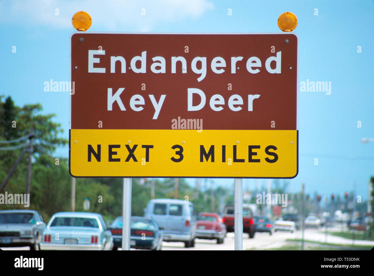 Florida Keys Big Pine Key Endangered Key Deer sign,US Overseas Highway Route 1 warning notice, Stock Photo