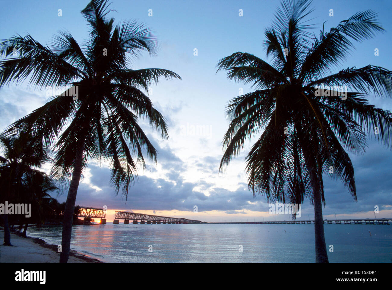 Florida Keys Bahia Honda Key State Park,Old Bahia Honda Bridge US Overseas Highway Route 1,Gulf of Mexico Atlantic Ocean sunset palm trees, Stock Photo