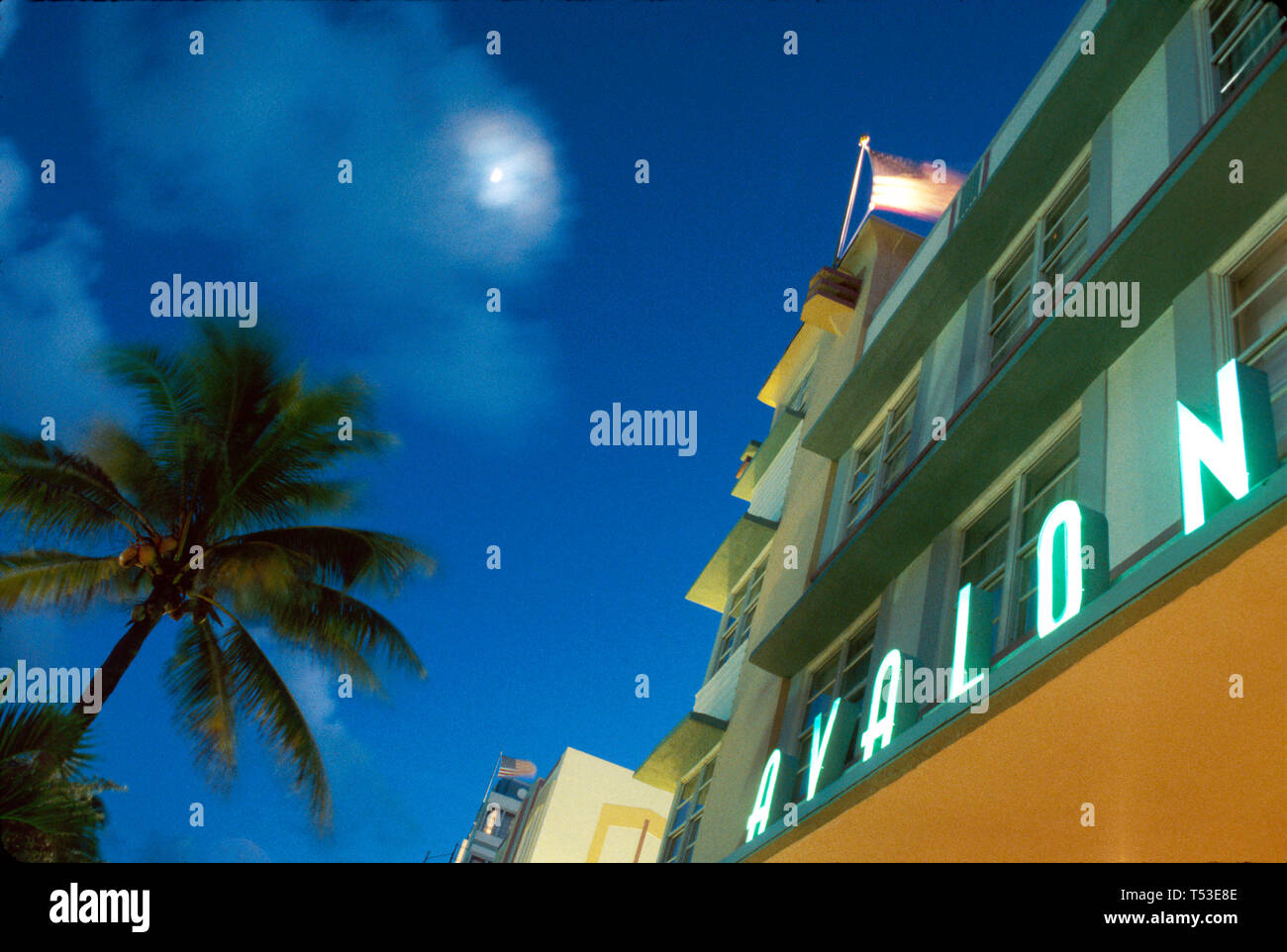 Miami Beach Florida,Ocean Drive,Avalon,hotel hotels lodging inn motel motels,palm moon nightlife,visitors travel traveling tour tourist tourism landma Stock Photo
