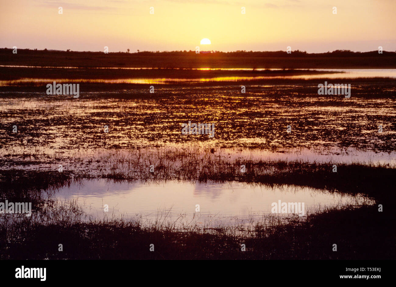 Florida Everglades Collier County Big Cypress National Preserve Tamiami
