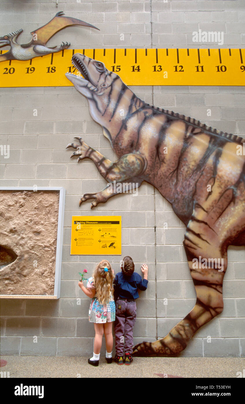 Tampa museum of science and industry hires stock photography and