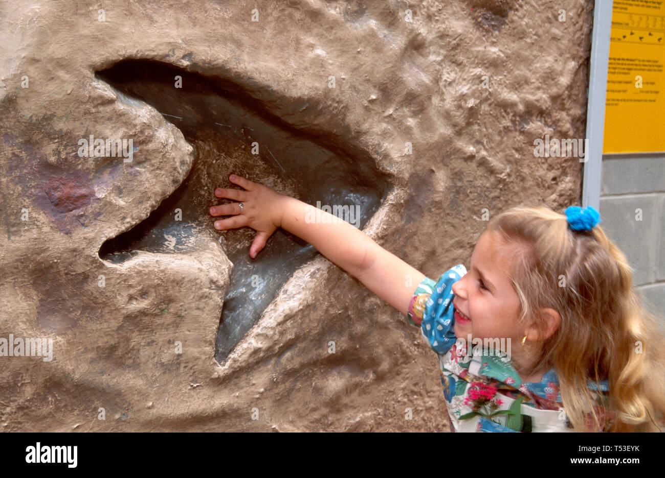 Tampa Florida,Museum inside interior,Hispanic girl hand in giant footprint hands on dinosaur exhibit Stock Photo