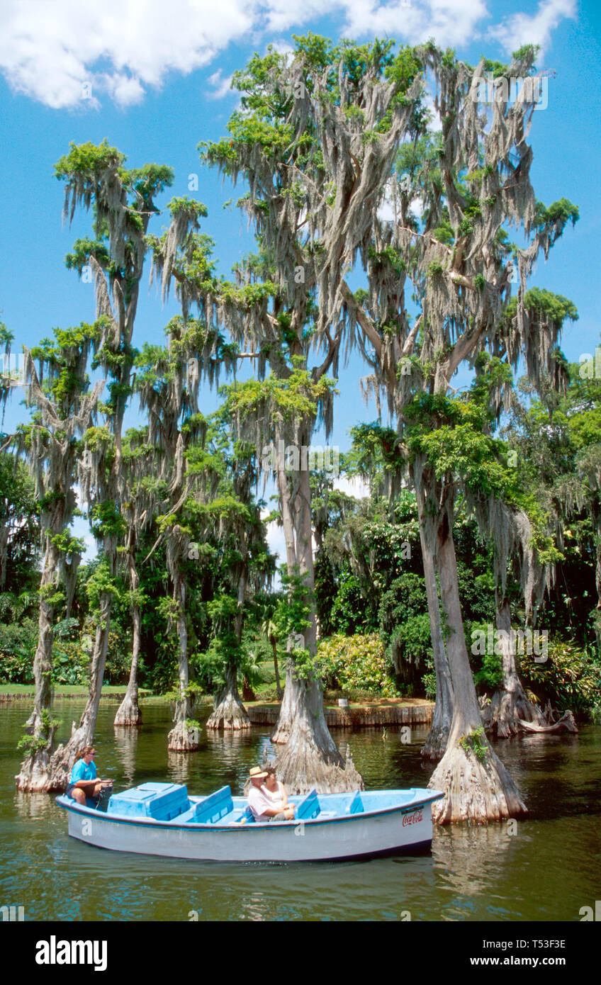 Florida Polk County Winter Haven Cypress Gardens Lake Eloise nature