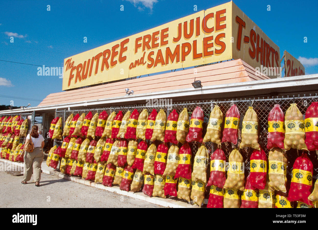 Florida Polk County Winter Haven US highway Route 27 The Fruitree locally grown oranges & grapefruit,FL308 Stock Photo