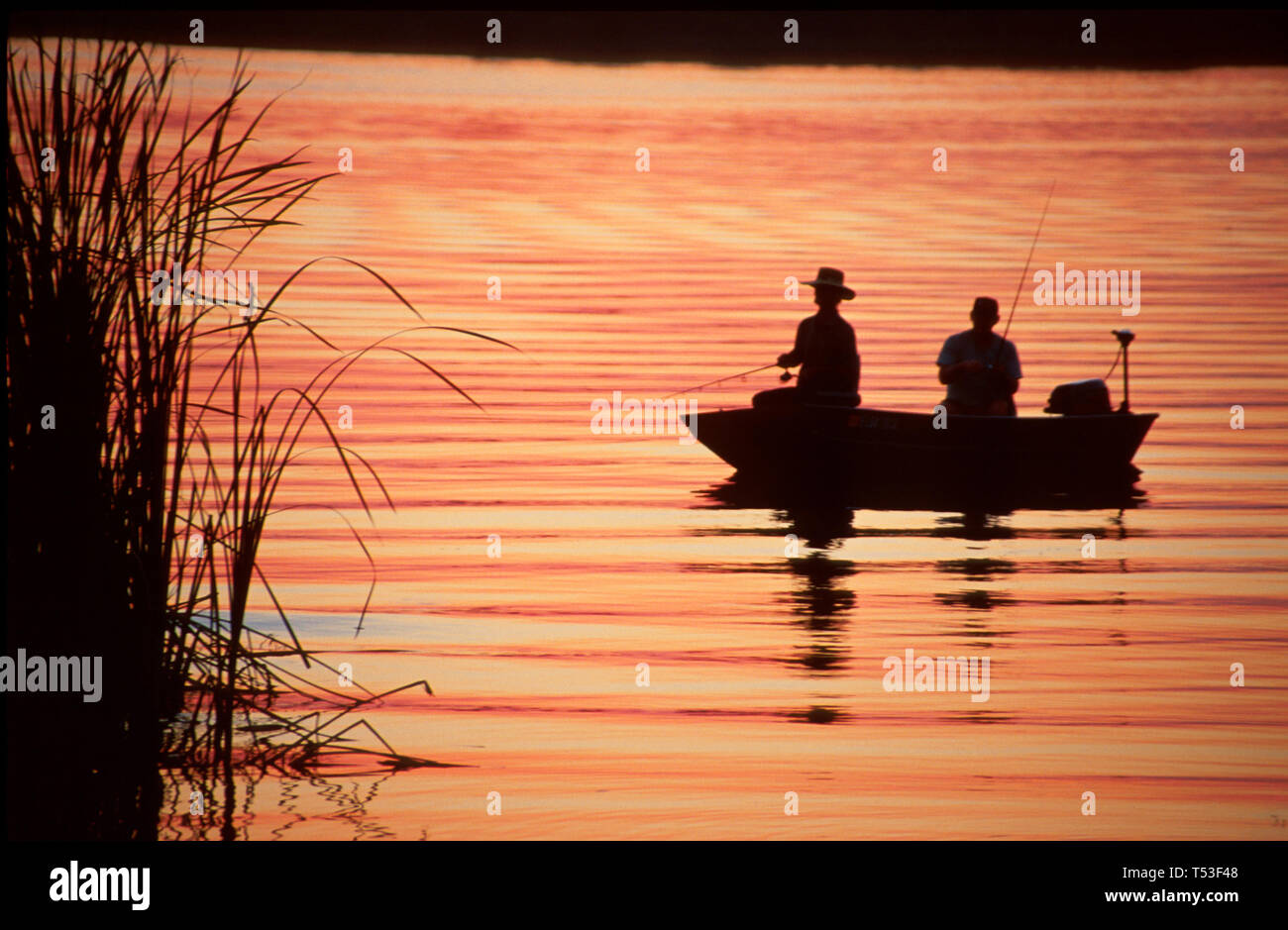 Florida Osceola County,Orlando,Kissimmee,Lake Tohopekaliga fishing