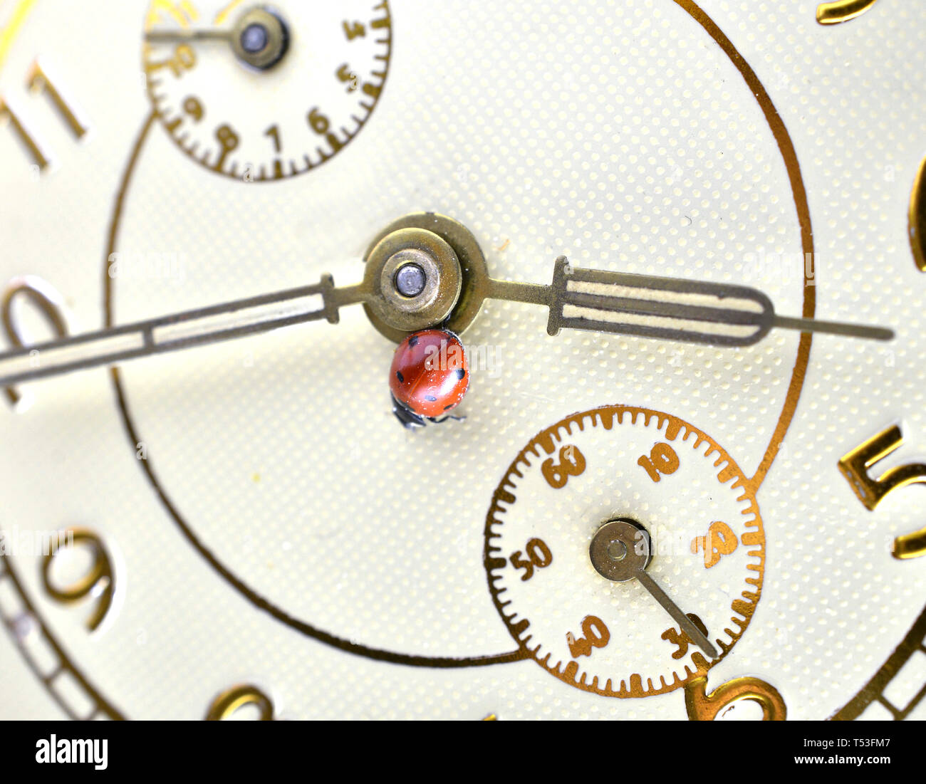 Ladybug on an old clock surface., time concept Stock Photo
