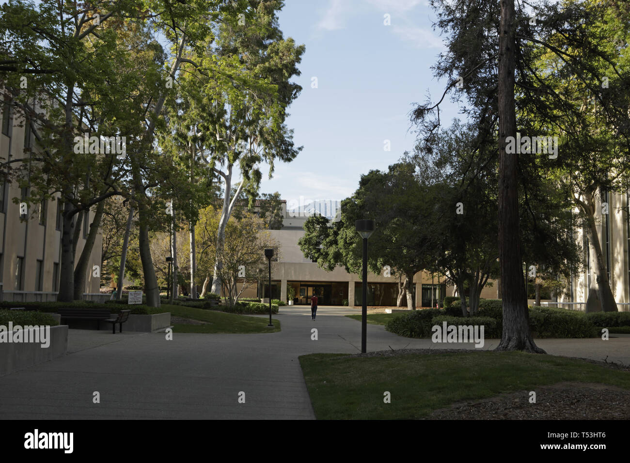 Thomas j watson physics laboratory hi-res stock photography and images ...
