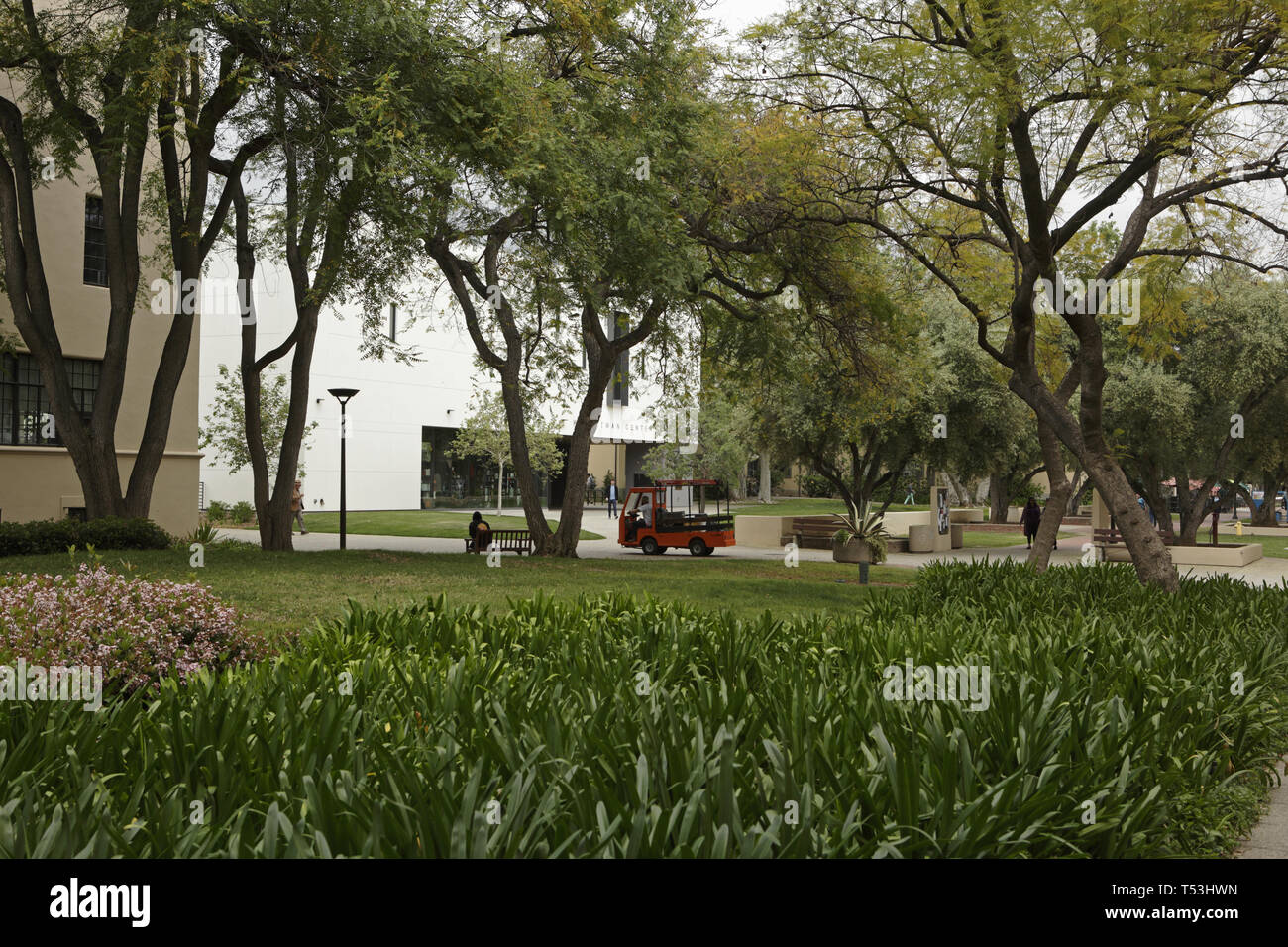 Caltech campus series, gardens Stock Photo