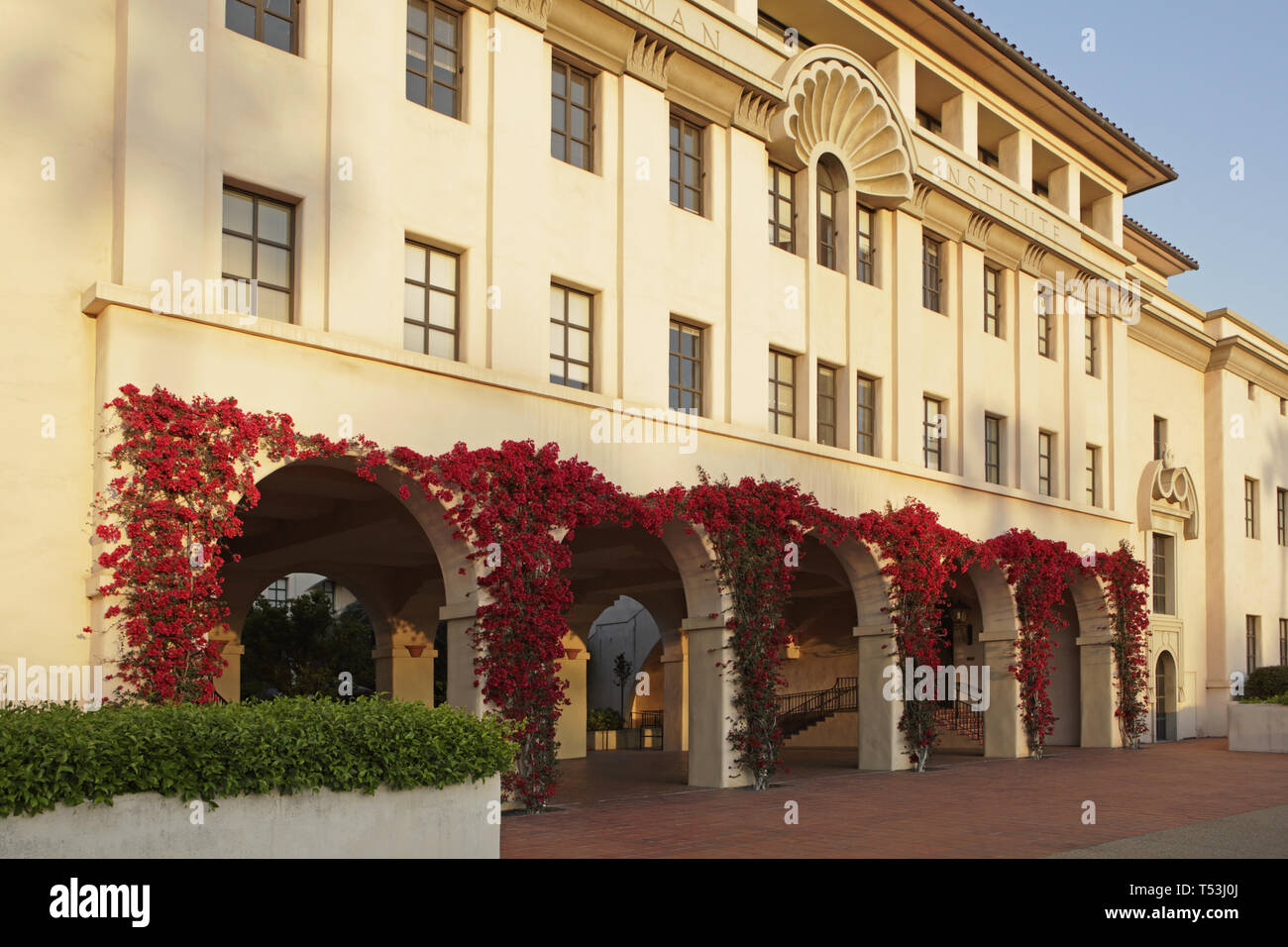 Caltech campus series, Beckman Institute and red flowering vine on the arches Stock Photo