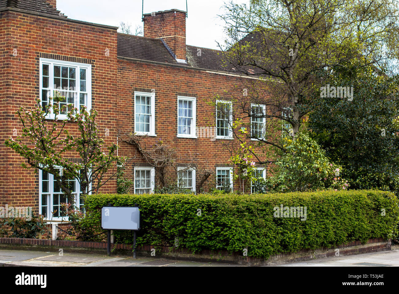 Two-story brick house with white windows. Quiet area in central London, front garden with hedges, spring, flowering trees. Stock Photo