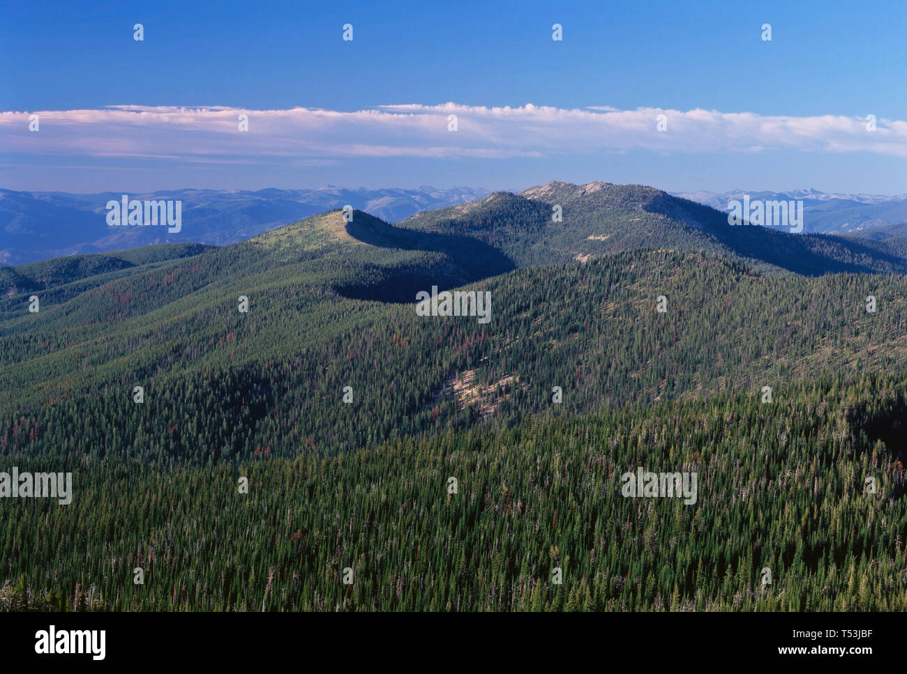 USA, Idaho, Nezperce National Forest, View north from Burnt Knob towards Three Prong Mountain and distant peaks of the Bitterroot Range. Stock Photo