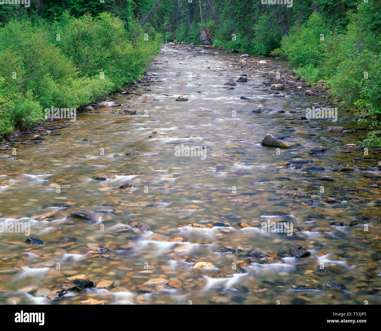 USA, Idaho, Nezperce National Forest, Selway Bitterroot Wilderness, The