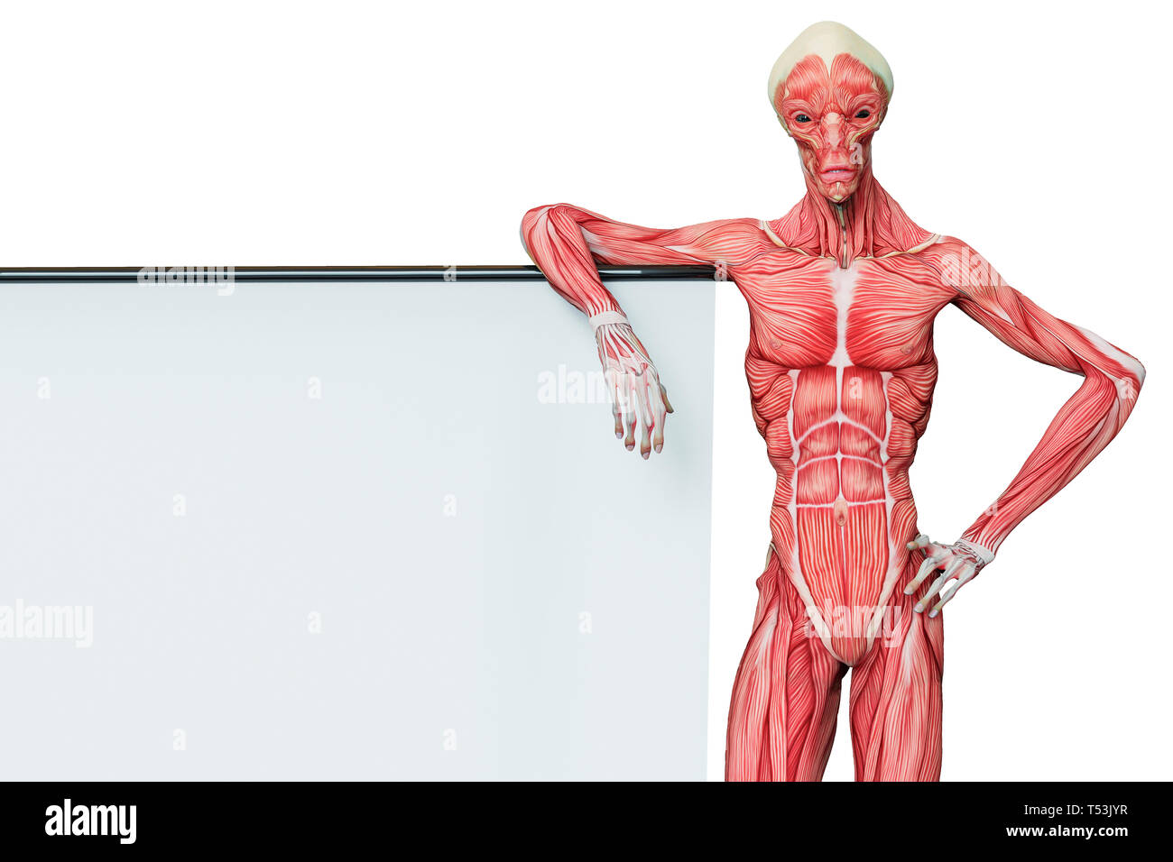 alien muscle maps on white background will put some live in yours ...