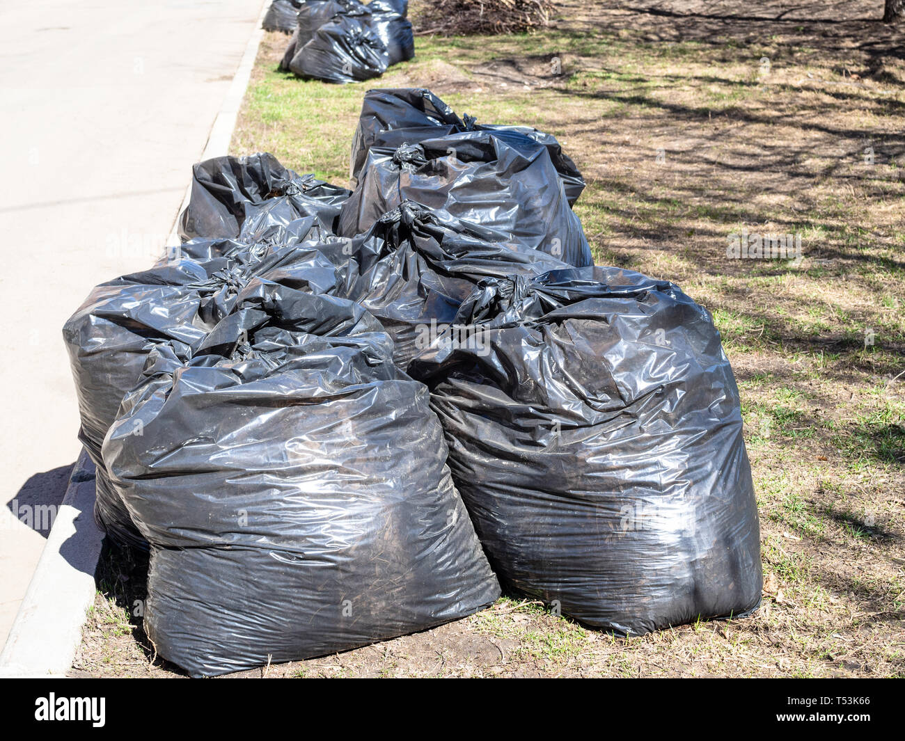 https://c8.alamy.com/comp/T53K66/many-of-trash-bags-filled-with-litter-on-lawn-along-urban-road-in-sunny-spring-day-during-subbotnik-in-moscow-city-T53K66.jpg