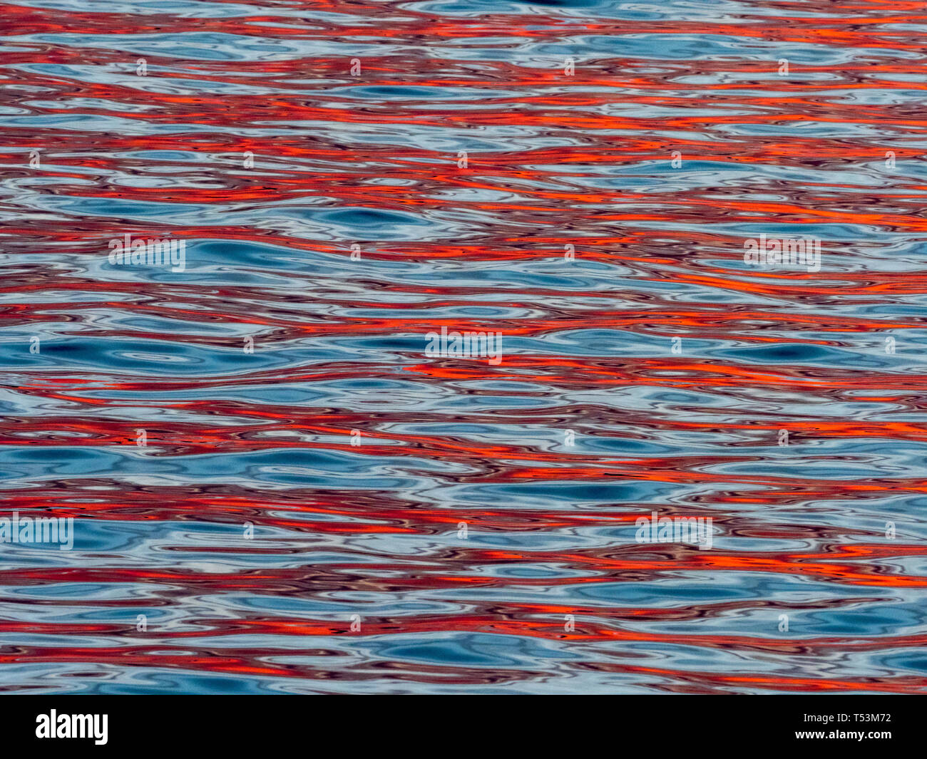 Sunrise colors on the flat waters of the Sea of Cortez, Baja, Mexico Stock Photo