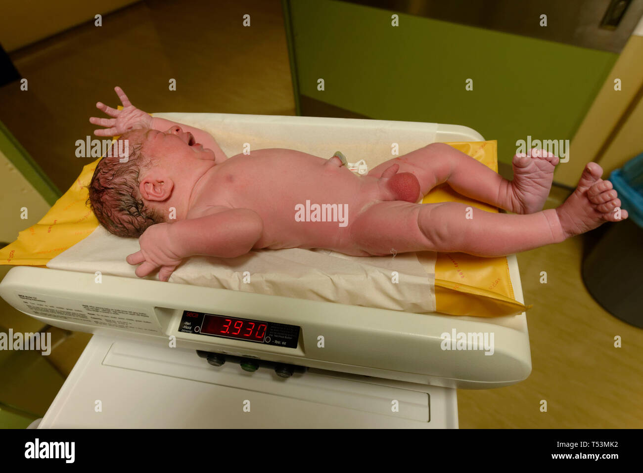 Newborn Baby 4kg In The Hospital Being Measured Stock Photo Alamy newborn-baby-4kg-in-the-hospital-being-measured-stock-photo-alamy