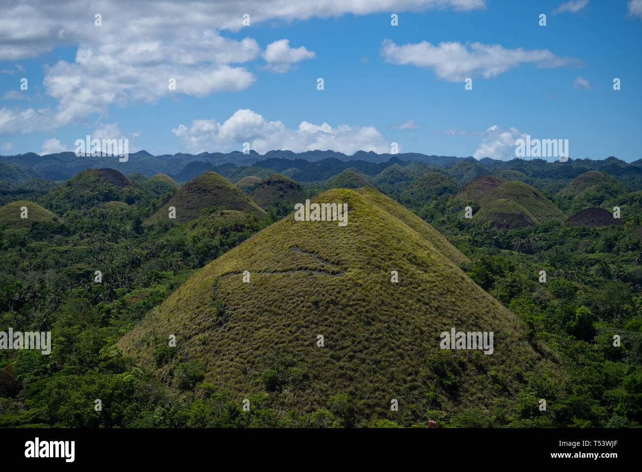 Chocolate Hills,Bohol,Philippines Stock Photo