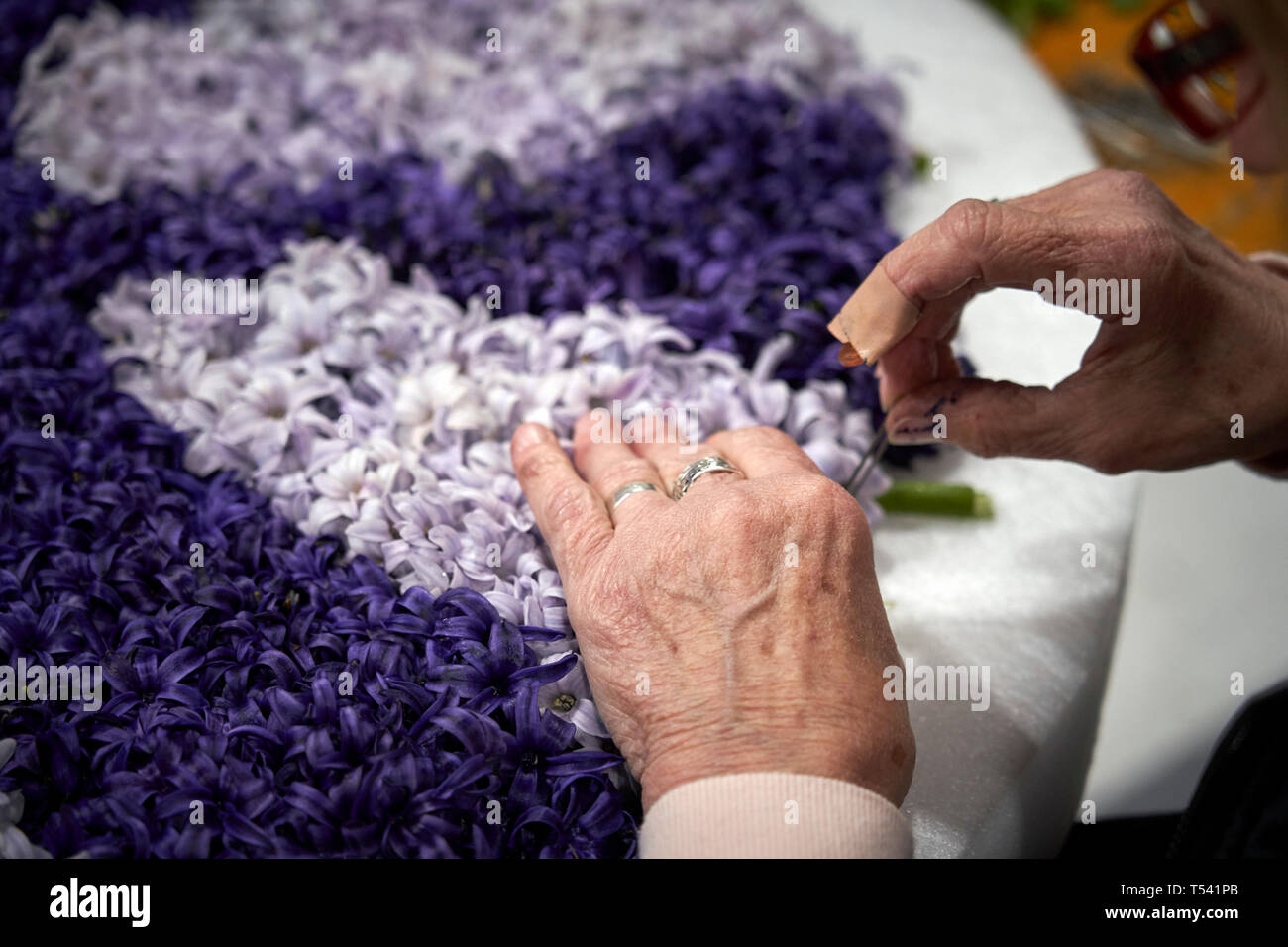 Participants cover with flowers the floats that will participate in the parade of the flower producing region in Holland. Stock Photo