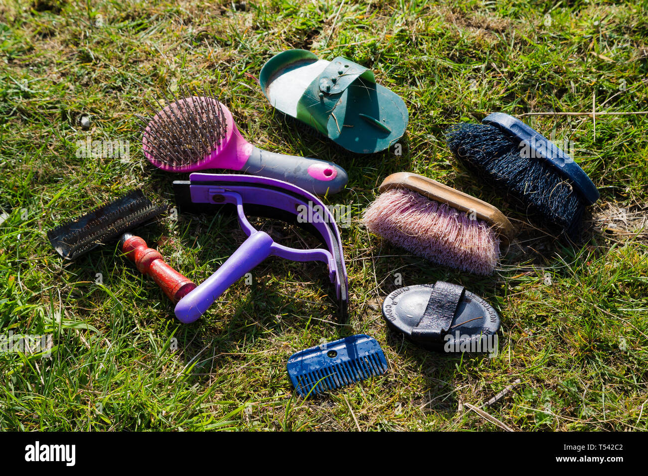 Horse grooming kit hires stock photography and images Alamy
