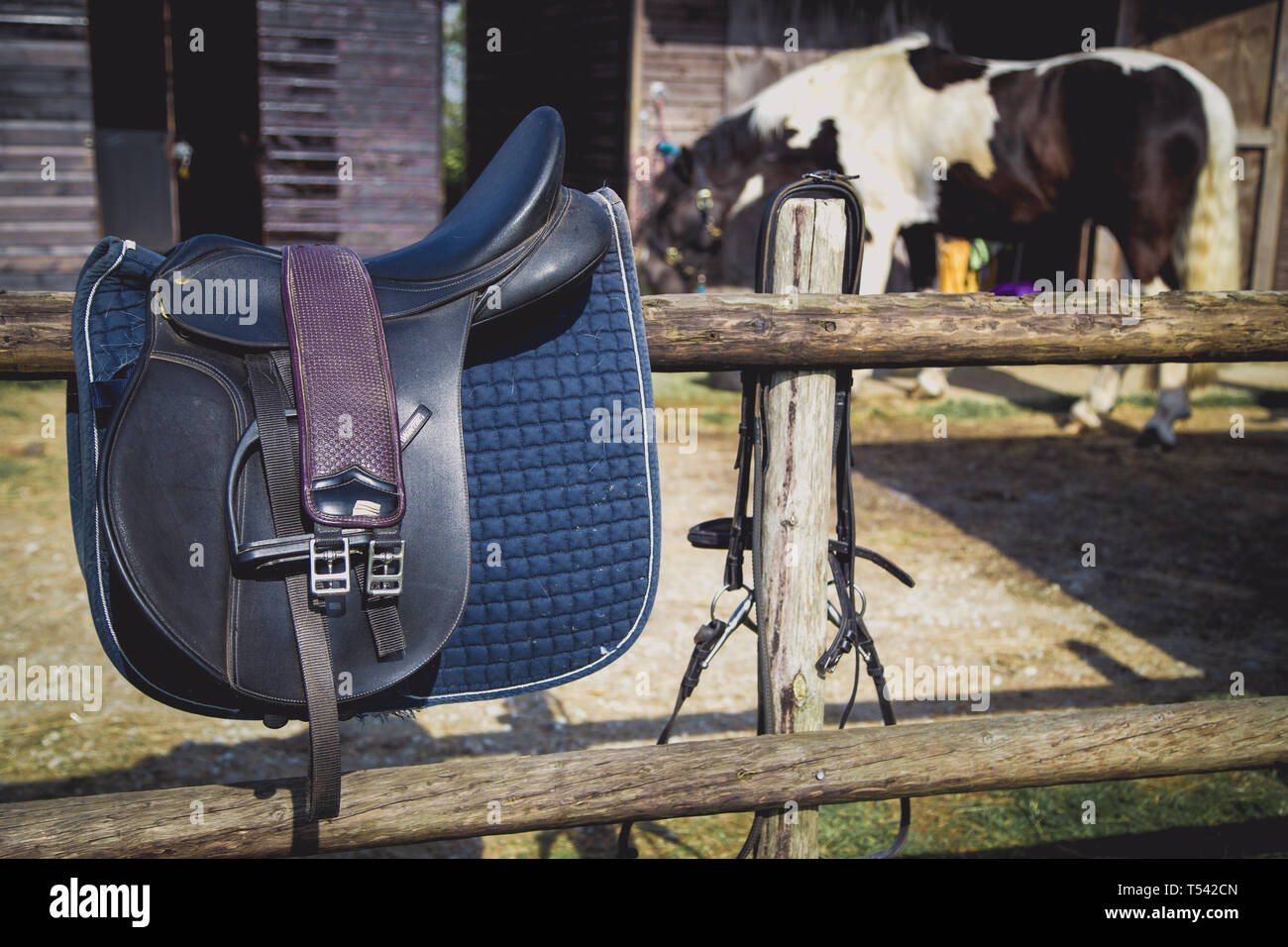 Kent, UK. Horse Saddle and Tack resting on a fence Stock Photo Alamy