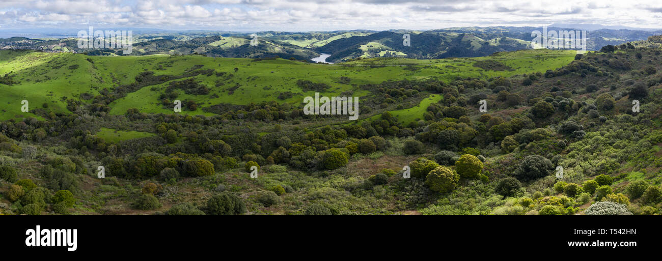 Morning light illuminates the hills surrounding San Francisco Bay. A wet winter has caused lush vegetation growth in the East Bay hills near Oakland. Stock Photo
