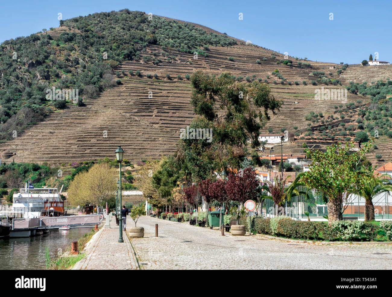 Douro Valley, wineyard around the Douro River, Portugal Stock Photo Alamy