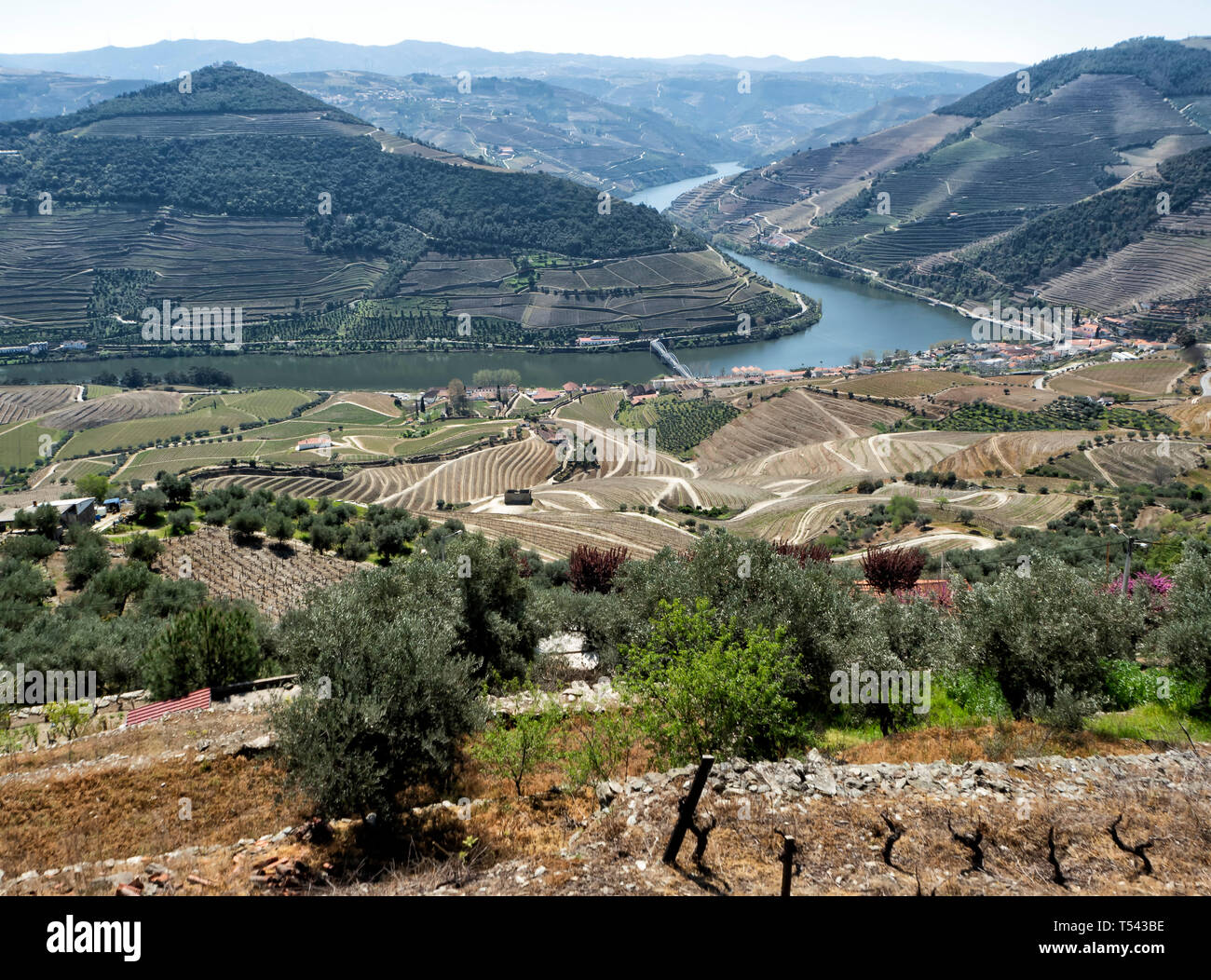 Douro Valley, wineyard around the Douro River, Portugal Stock Photo Alamy