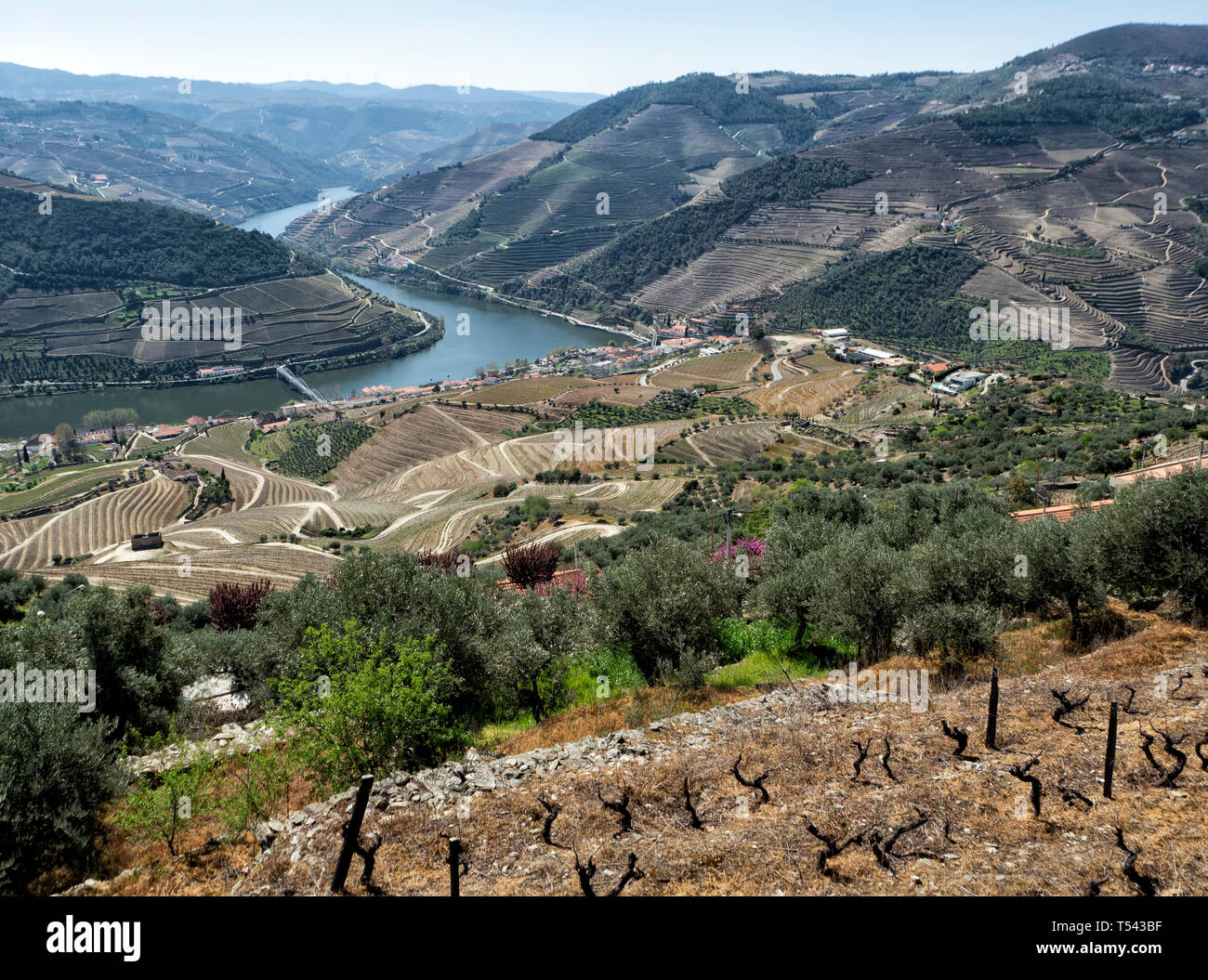 Douro Valley, wineyard around the Douro River, Portugal Stock Photo Alamy