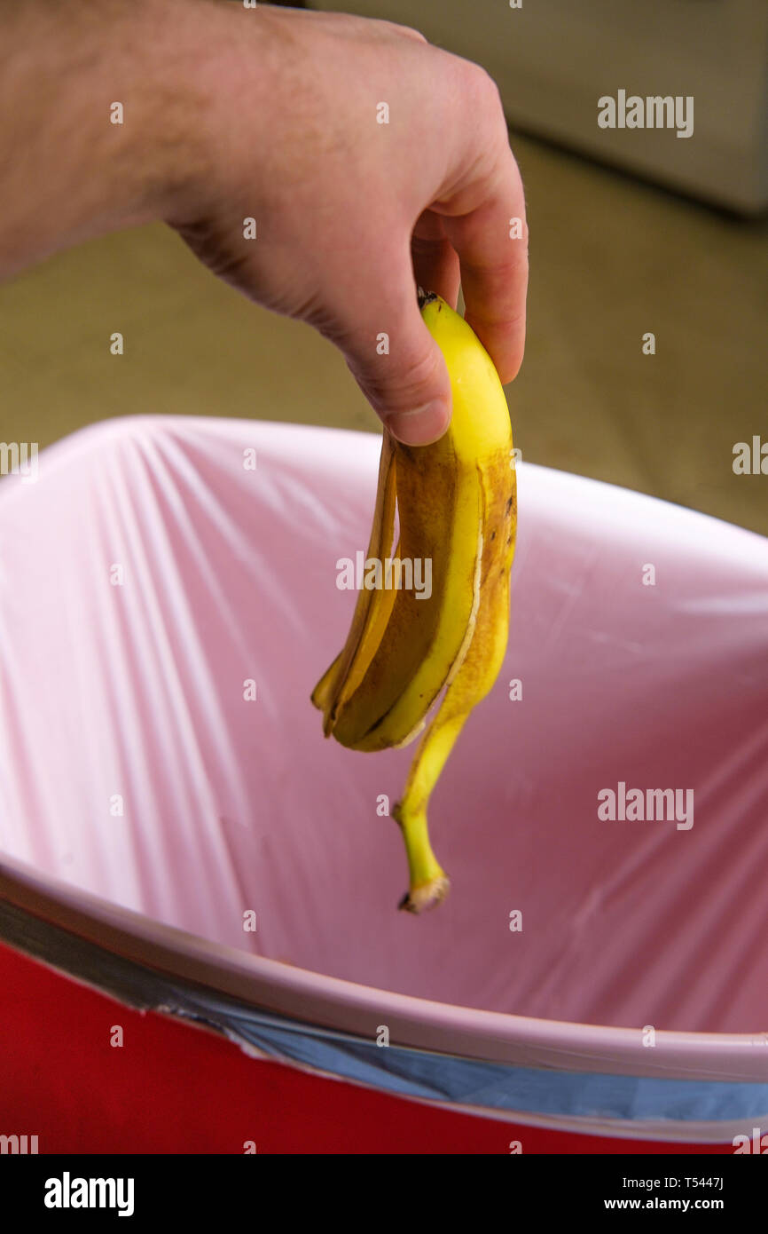 Throwing away old banana peel in red garbage can Stock Photo Alamy
