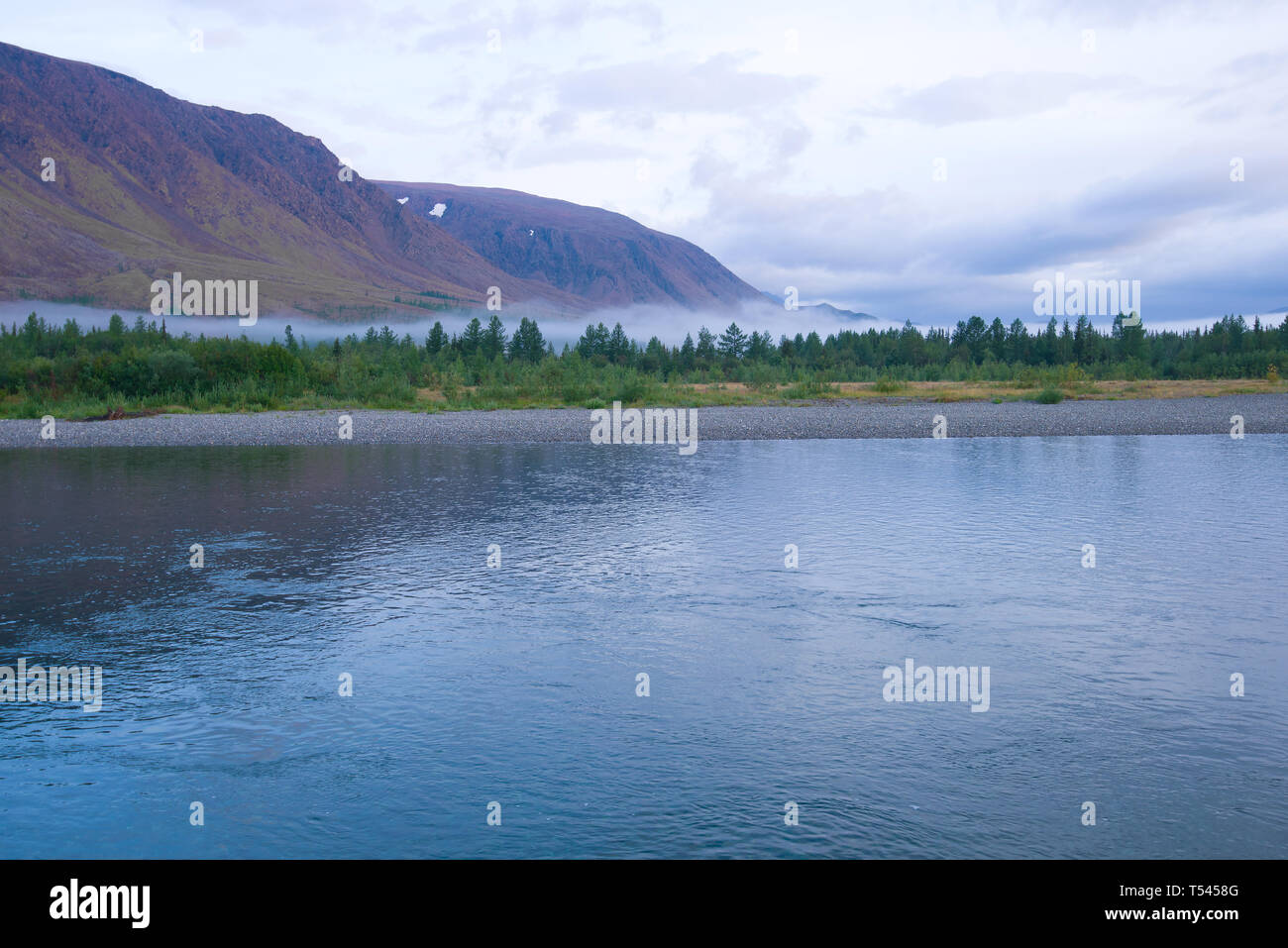 Tranny kamming kompilyatsiyasini tomosha qiling