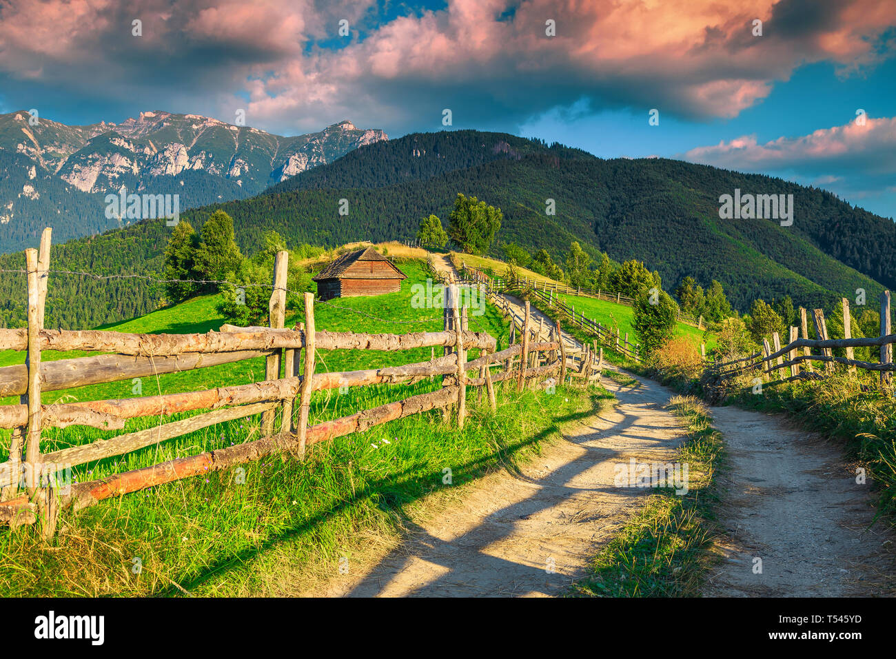 Spectacular summer alpine landscape with green fields,rural road and high mountains at sunset, Bran, Transylvania, Romania, Europe Stock Photo