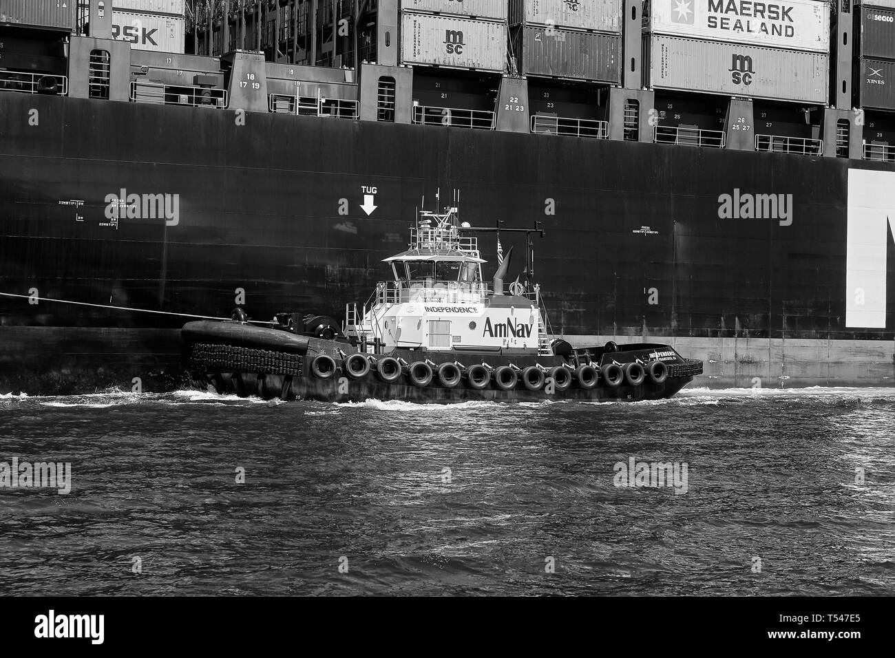 Black And White Photo Of The AmNav Tractor Tug (Tugboat), INDEPENDENCE, Escorting Container Ship, MSC ELODIE In The Port Of Long Beach, California. Stock Photo