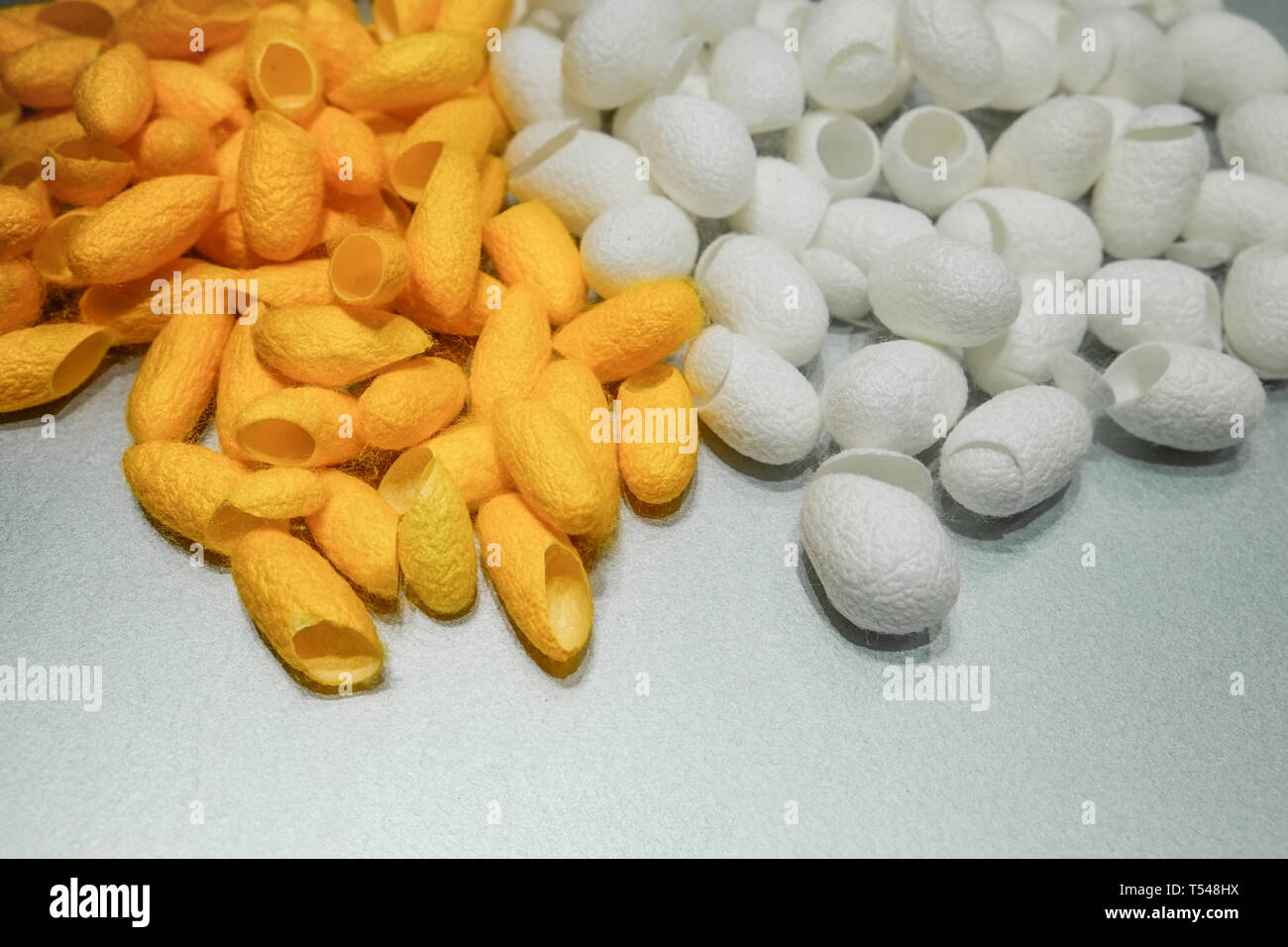 a heap of natural white and yellow silk cocoons use for skin beauty. Stock Photo