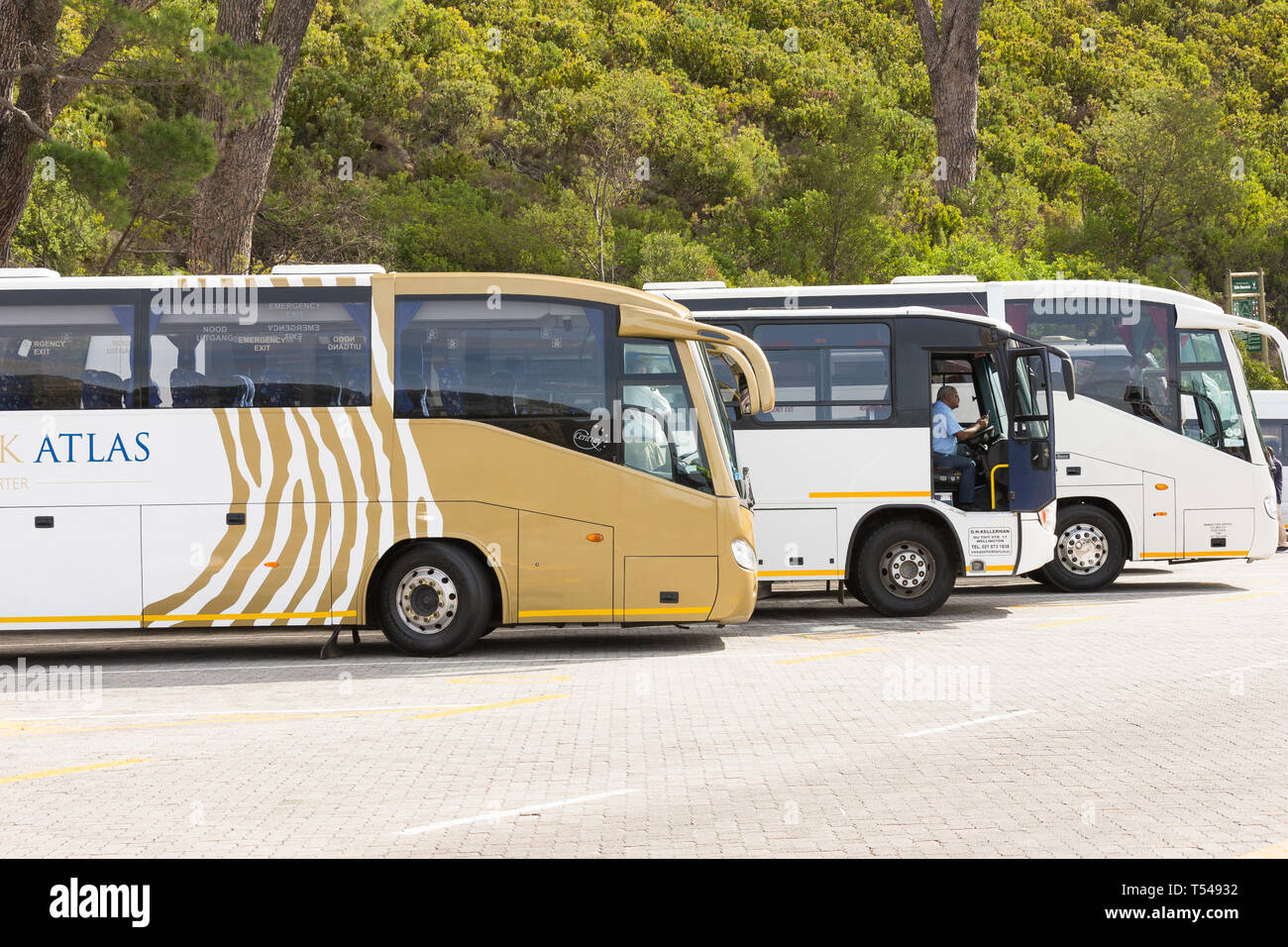 tour busses or coaches parked and waiting at Table Mountain to transport  tourists around the city during their holiday in Cape Town, South Africa Stock Photo