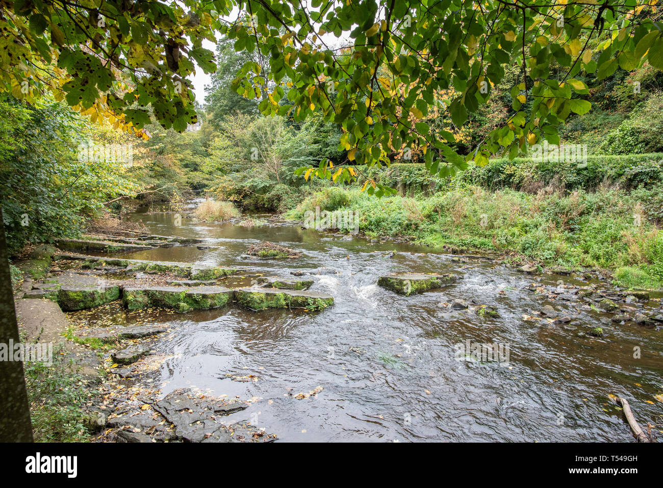 Small Stream UK Landscape Running Water Stock Photo