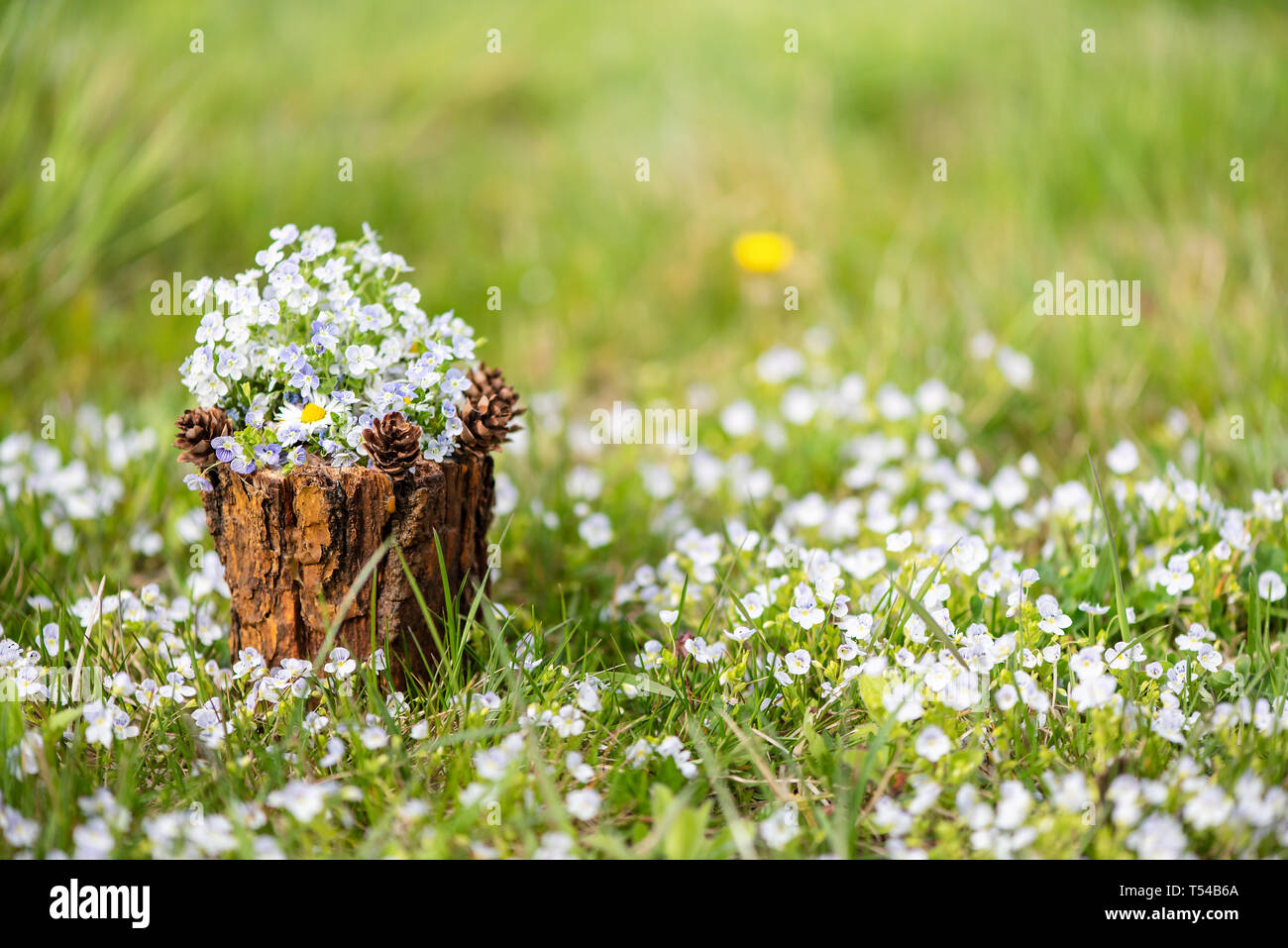 Decorative vase with a bouquet of flowers in the courtyard. Flowers of