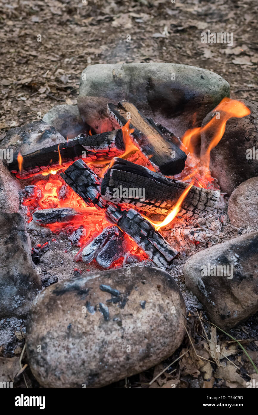 Nice Campfire In A Fire Pit At A Campsite In The Forest Stock