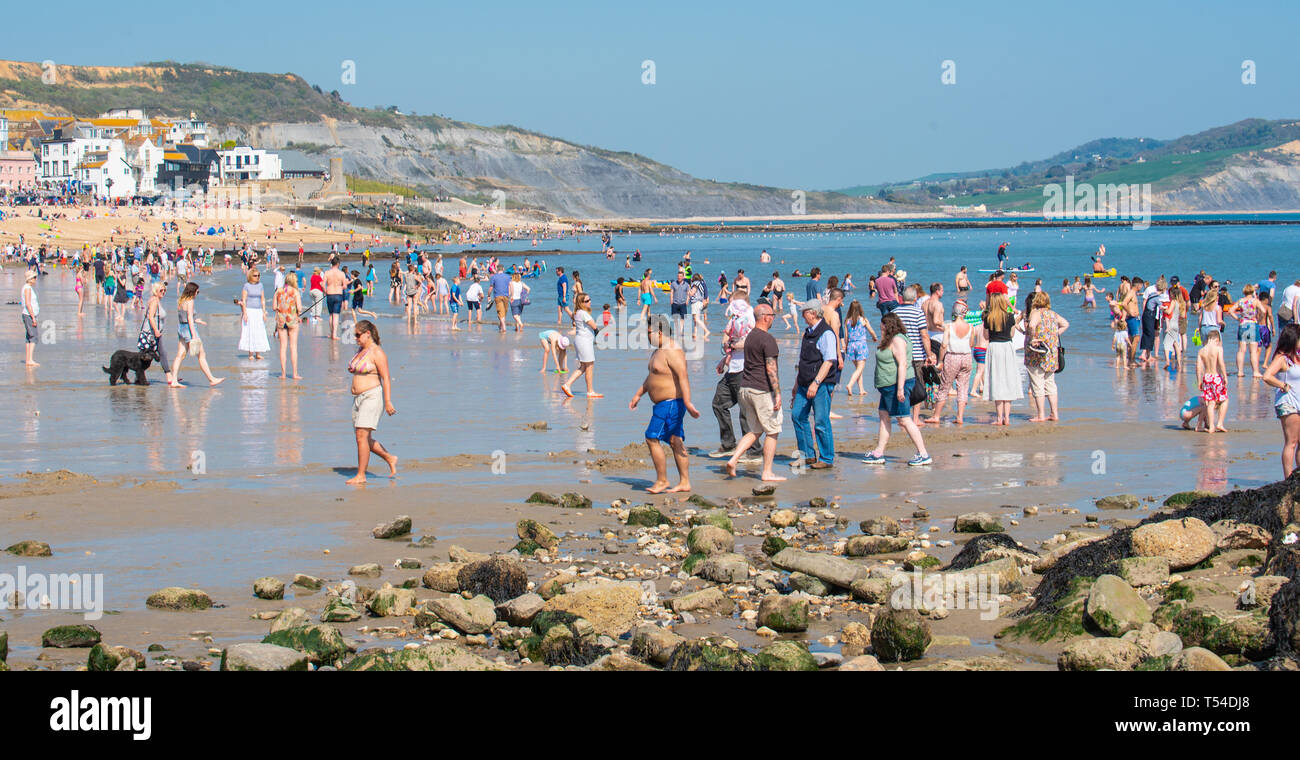 Lyme Regis, Dorset, UK. 20th April 2019. UK Weather: Beachgoers cool down in the sea at the seaside resort of Lyme Regis on a scorching hot Easter Saturday afternoon,  Families enjoy paddling in the sea. Credit: Celia McMahon/Alamy Live News. Stock Photo