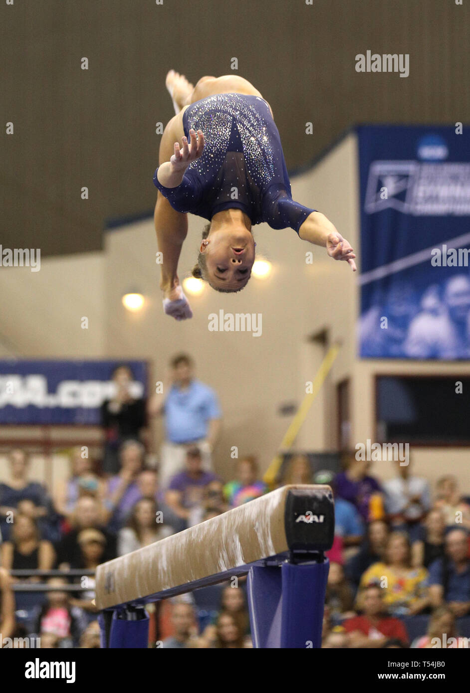 Fort Worth, TX, USA. 20th Apr, 2019. UCLA's Madison Kocian performs on
