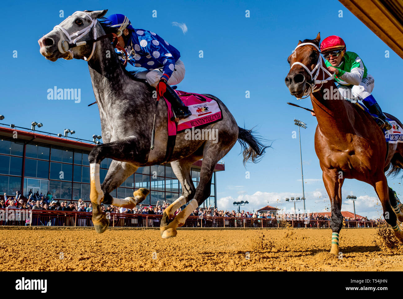 Charles Town, West Virginia, USA. 20th Apr, 2019. CHARLES TOWN, WEST VIRGINIA - APRIL 20: Runninto'toluvya (blue cap) #8, ridden by Oscar Flores, outduels Diamond King #3, ridden by Javier Castellano, to win the Charles Town Classic on Charles Town Classic Day at Charles Town Races and Slots in Charles Town, West VIrginia. Scott SerioEclipse SportswireCSM/Alamy Live News Stock Photo