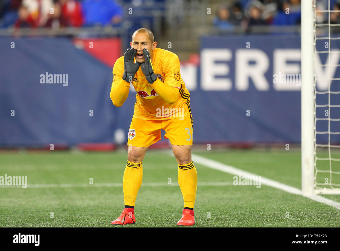 438 New York Red Bulls Goalkeeper Luis Robles 31 Stock Photos, High-Res  Pictures, and Images - Getty Images
