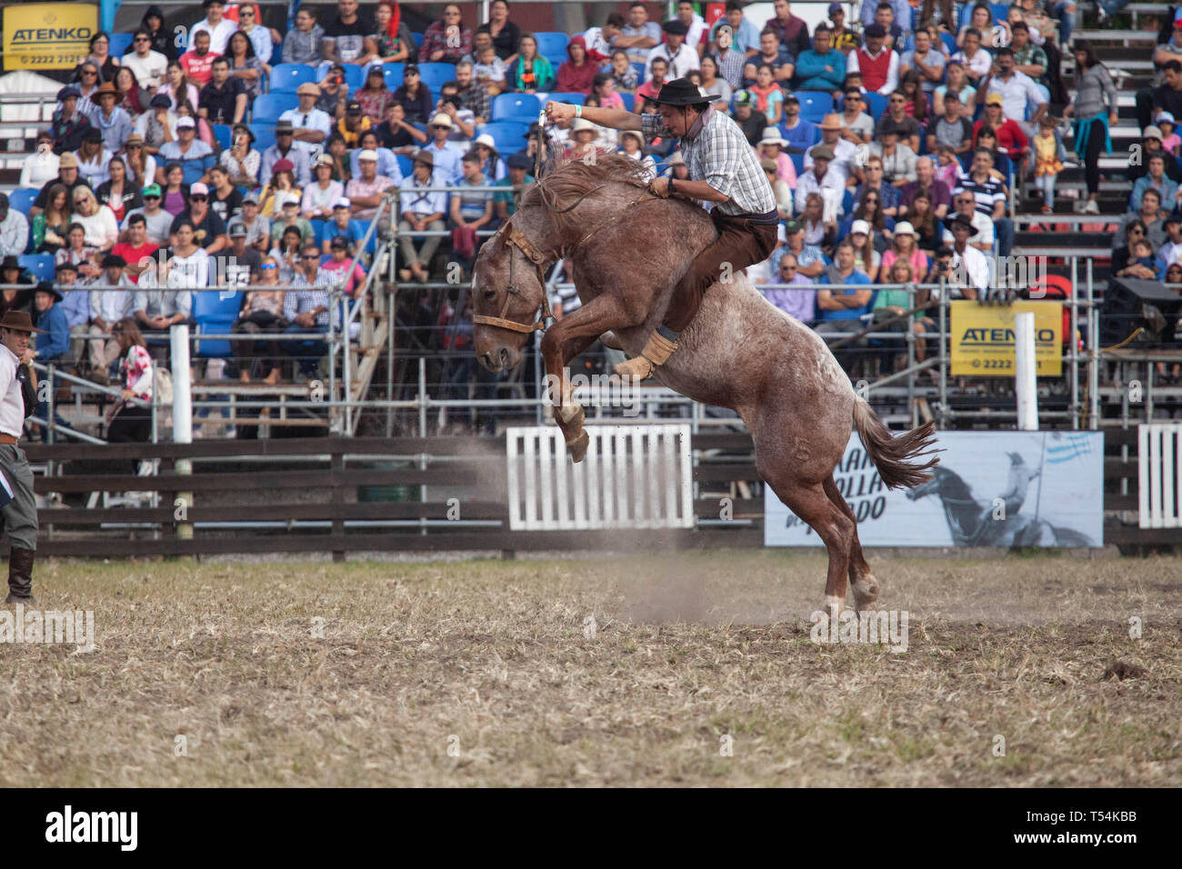 Montevideo, Uruguay. 20th Apr, 2019. A Gaucho (Cowboy) seen riding a ...